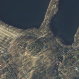 Satelita