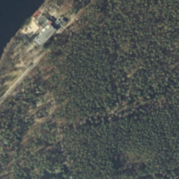 Satelita