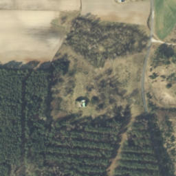 Satelita