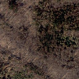 Satellite imagery of Loccumer Berg, DE
