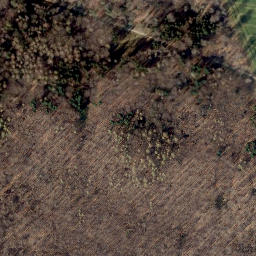 Satellite imagery of Loccumer Berg, DE