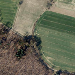 Satellite imagery of Loccumer Berg, DE