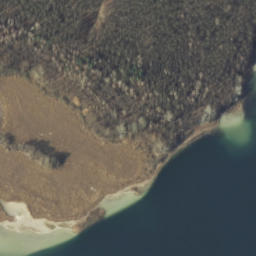 Satelita