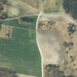 Satelita