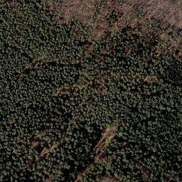 Satellite imagery of Loccumer Berg, DE