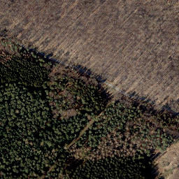 Satellite imagery of Loccumer Berg, DE