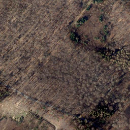 Satellite imagery of Loccumer Berg, DE