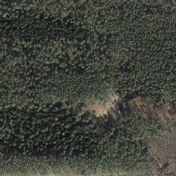 Satellite imagery of Wohlenberg, DE
