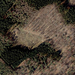 Satellite imagery of Loccumer Berg, DE