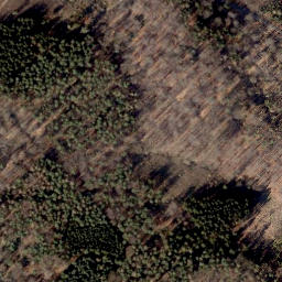 Satellite imagery of Loccumer Berg, DE