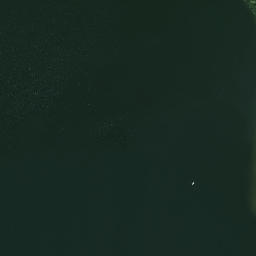 Satelita