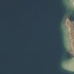 Satelita