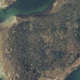 Satelita