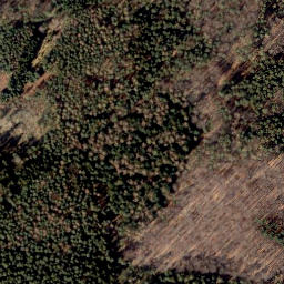 Satellite imagery of Brunnenberg, DE
