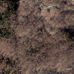 Satellite imagery of Brunnenberg, DE
