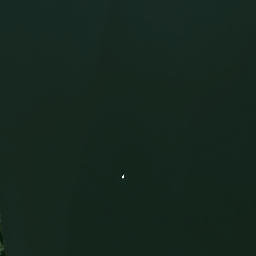 Satelita