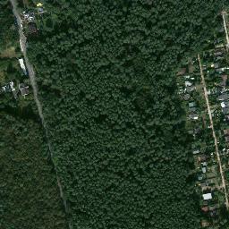 Satelita