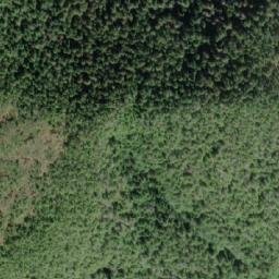 Satellite imagery of Mount Bell, CA