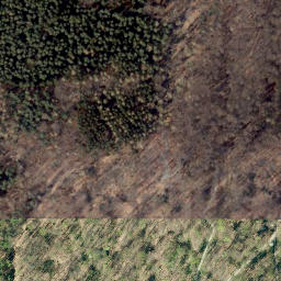 Satellite imagery of Brunnenberg, DE