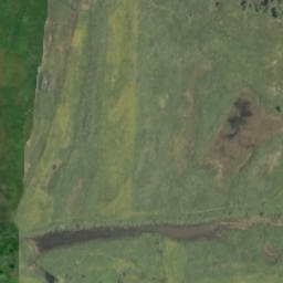 Satelita