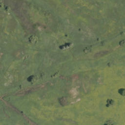 Satelita