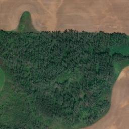Satellite imagery of Prospect Hill, CA