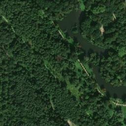 Satellite imagery of Jankowice Wlkp.- Pałac, PL