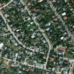 Satelita