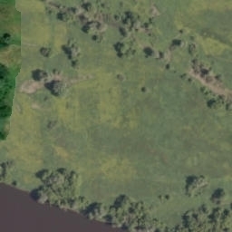 Satelita