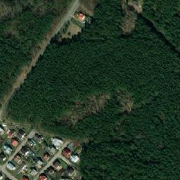 Satelita
