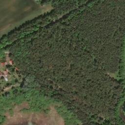 Satelita