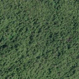 Satellite imagery of Jorkins Point, CA