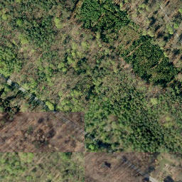 Satellite imagery of boundary_stone, DE