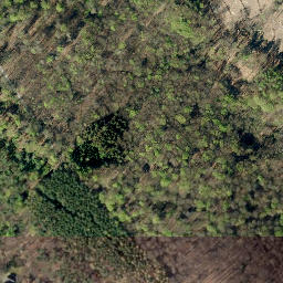 Satellite imagery of boundary_stone, DE