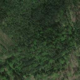 Satellite imagery of Wellingsen, DE