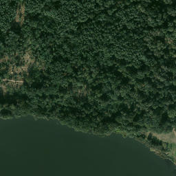 Satelita