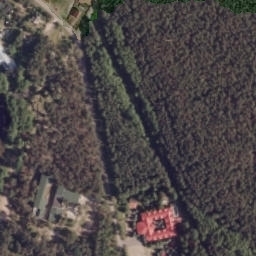 Satelita