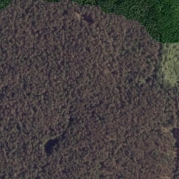 Satelita