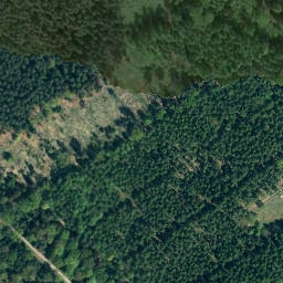 Satellite imagery of Wellingsen, DE
