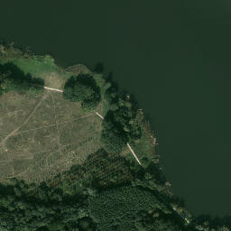 Satelita