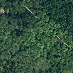 Satellite imagery of Wellingsen, DE