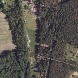Satelita