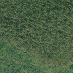 Satellite imagery of Cascade Bluff, CA