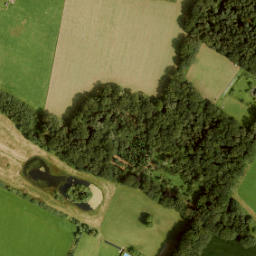Satellite imagery of Nijenhuis, NL