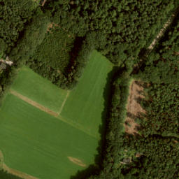 Satellite imagery of Nijenhuis, NL