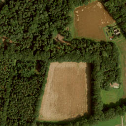 Satellite imagery of Nijenhuis, NL