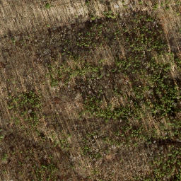 Satellite imagery of Fernmeldeturm Berlin-Schäferberg, DE