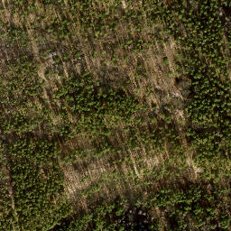 Satellite imagery of Fernmeldeturm Berlin-Schäferberg, DE