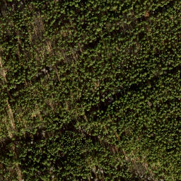 Satellite imagery of Fernmeldeturm Berlin-Schäferberg, DE