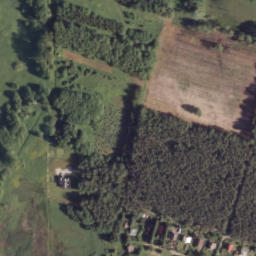 Satelita